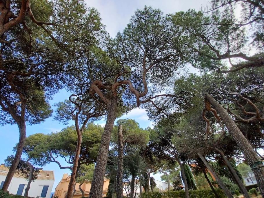 Apartamento Roc Mar Llafranc Exterior photo